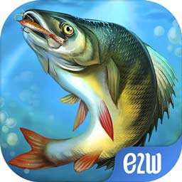 6112EE:NET-WWW:6112EE:NET